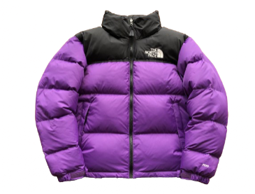 THE NORTH FACE